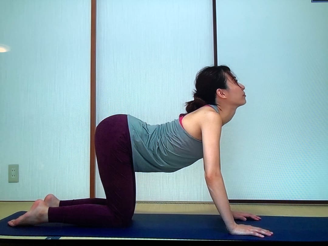 オンラインで骨盤ヨガ資格を練習する女性