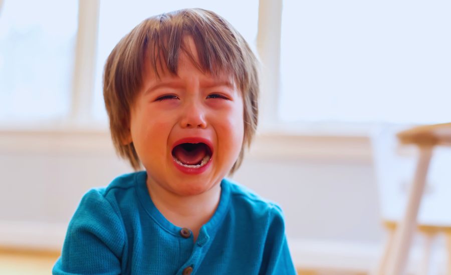 2歳から始まるイヤイヤ期を理解し、成長を支える親の心構えと具体的な対応方法