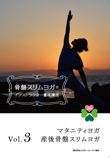 指導法レッスンプログラミング個々への歪み調整